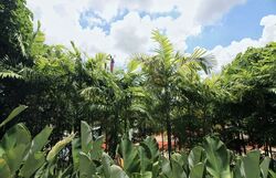 The Panorama (D20), Condominium #581922101
